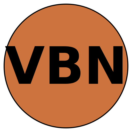 Virtue Beauty Network